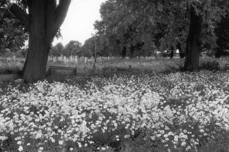 Friedhof_1993_1_von_2