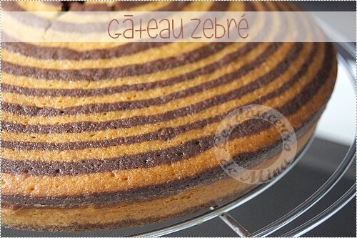 Gâteau_Zebré019