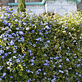 _DSC0323