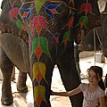 maison des elephants, Jaipur