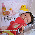 NDN-Malea-014