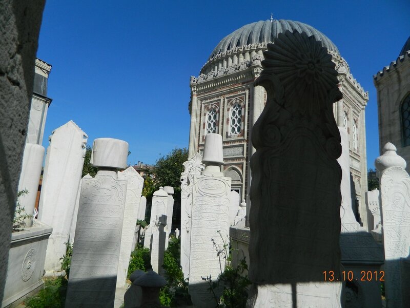 DSCN0905