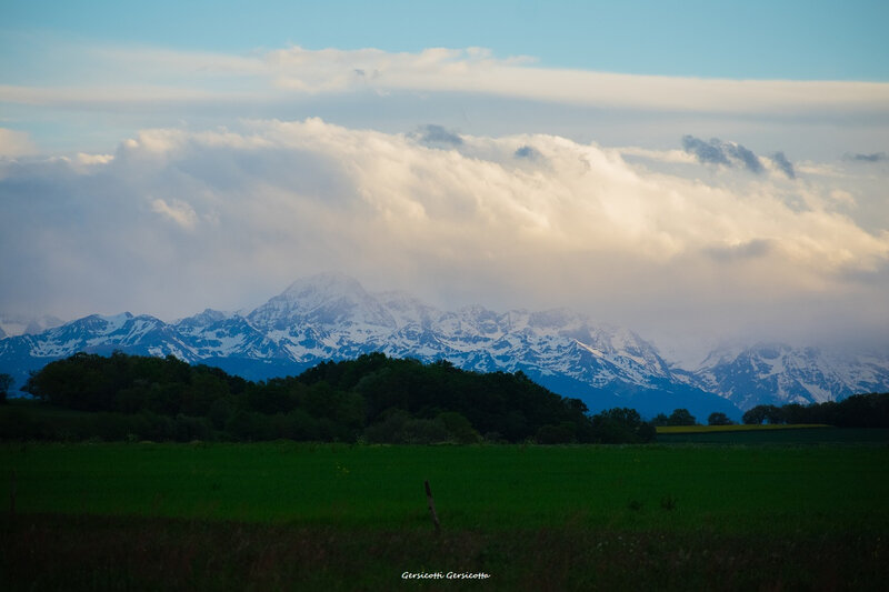 _DSC0262
