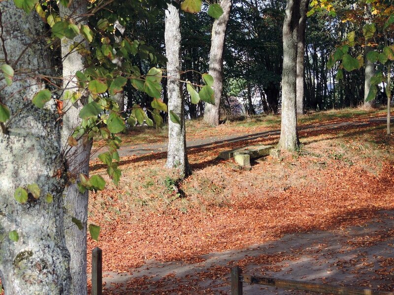 _copie-0_DSCN9750