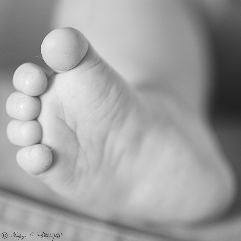DSC_4461