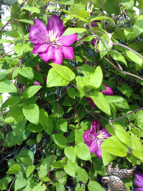 20190615_102352