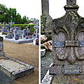 Une énorme fleur de lys dans le cimetière de vendrennes (85)