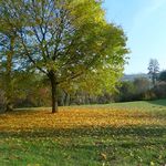 2011-10-2211