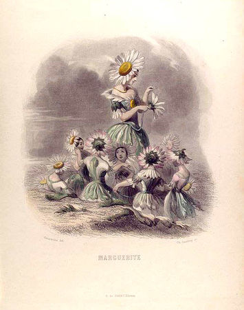 GRANDVILLE___les_fleurs_anim_es___marguerite___NYPL