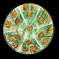 A rare signed nishapur sgraffiato pottery bowl, persia, 10th century