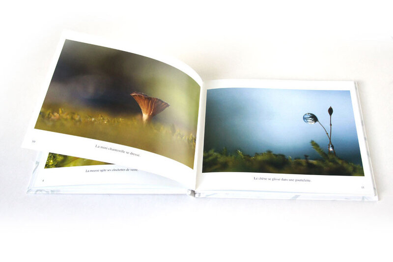 livre11