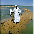 Image (8)