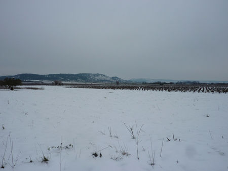 2010_0205neigemars201030267