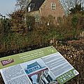 IMGP4493