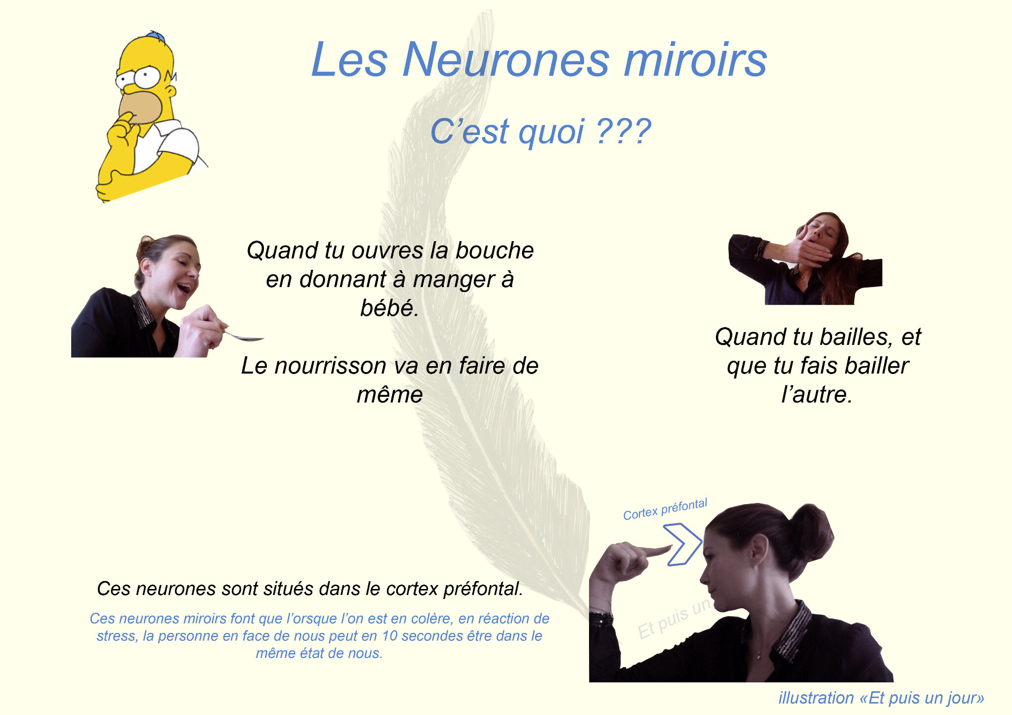 Une Journée Dans Le Cerveau D Anna Le cerveau dans la main de Daniel Siegel - Et Puis Un Jour On