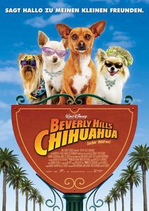 chihuahua_allemagne_01