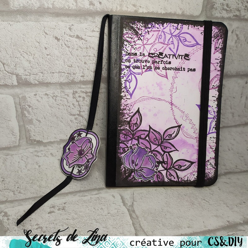 csdiy avril celina2