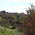 P1000693
