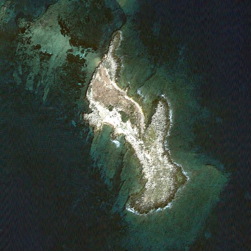 Sainte-Marguerite, ilot de la Tradelière