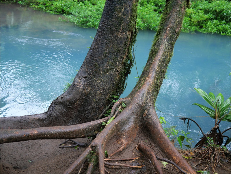 J4 rio Celeste circuit Lumix 41219 ym 35 arbres eau bleue