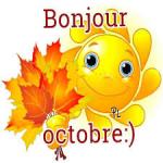 images (11)