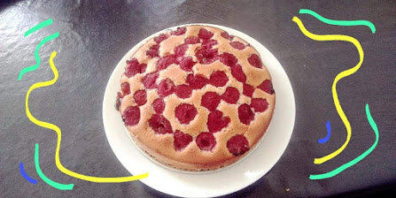 Financier Aux Framboise De Cyril Lignac Mon Carnet De Recettes De Dominique