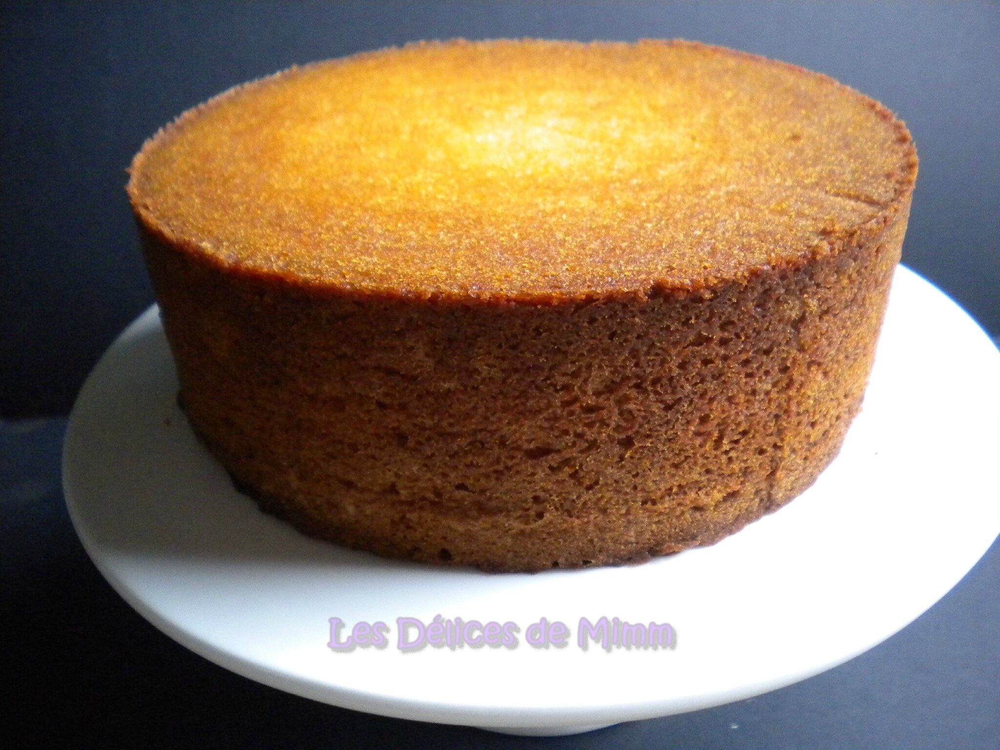 Le Sponge Cake Le Gateau Ideal Pour Le Cake Design Les Delices