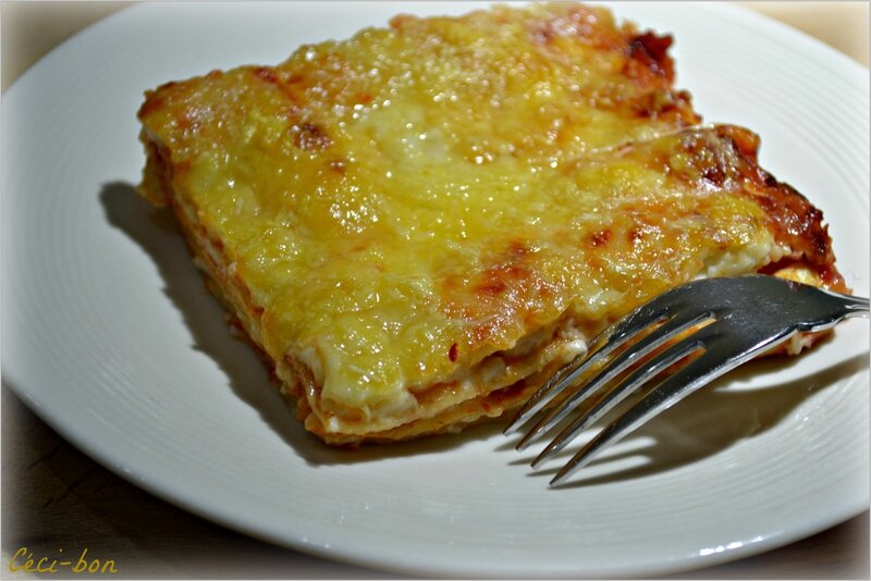 Lasagnes_b_chamel_aux_fromages_et_sauce_tomates