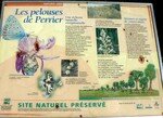 P1050314