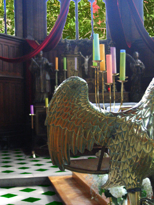 AIGLE_EGLISE_fleur