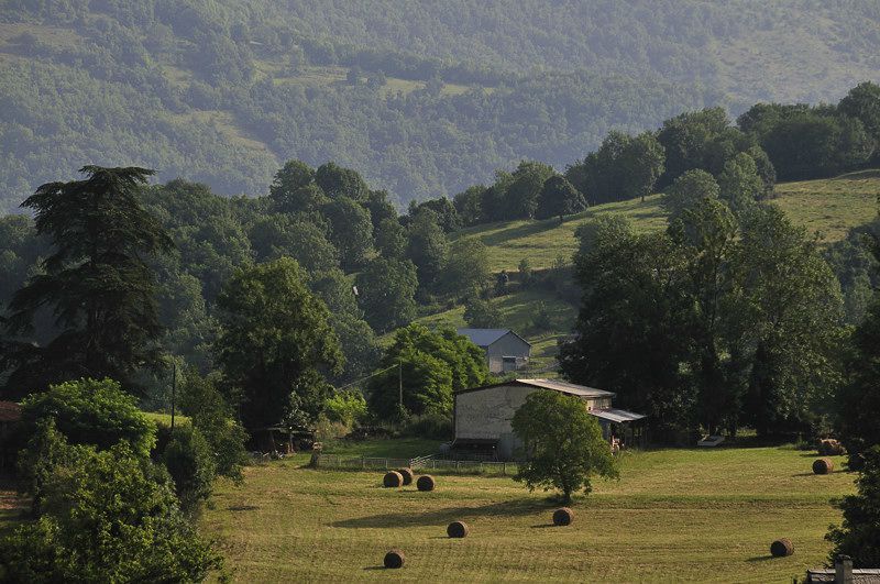 SOLEIL LEVANT SUR LE PIÉMONT