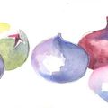 Aquarelles