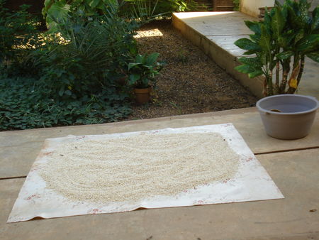 senegal1_244