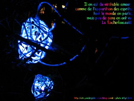 2009_h88