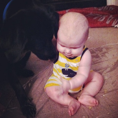 chiensauveenfant