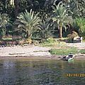 IMGP0745