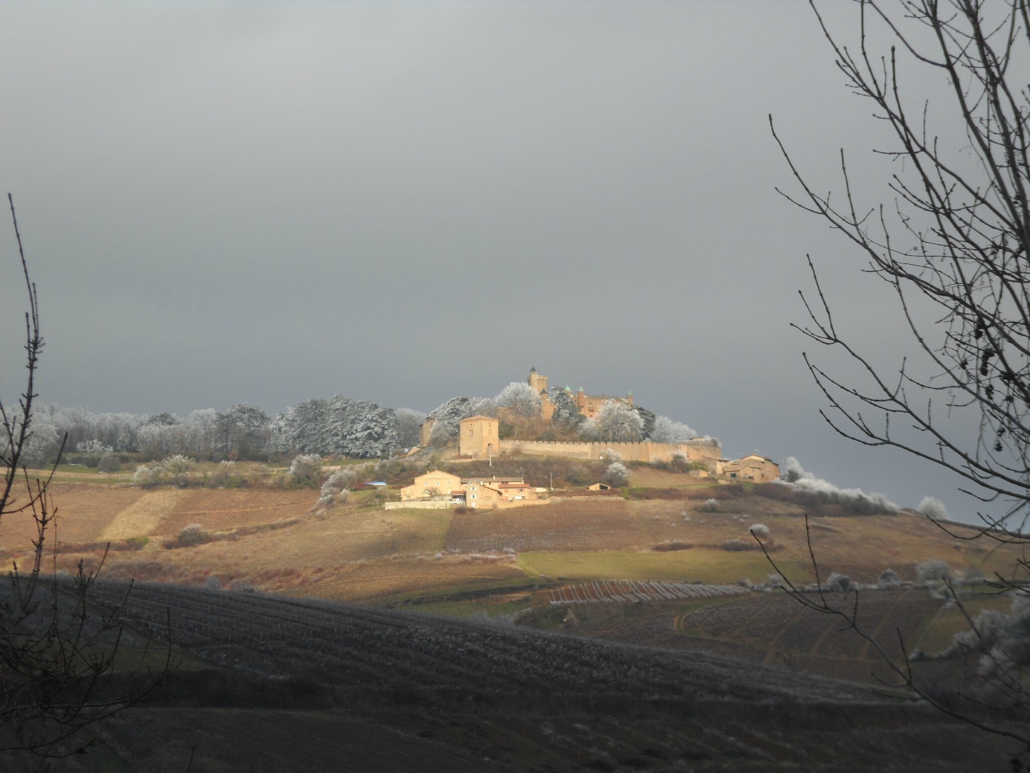 Chateau De Montmelas Sous Le Givre Canevas En Folie