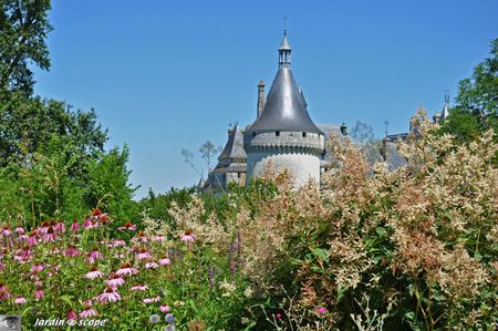 Le-château-de-Chaumont-sur-Loire