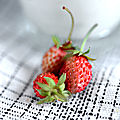 Juste des fraises des bois avec un peu de fromage blanc…