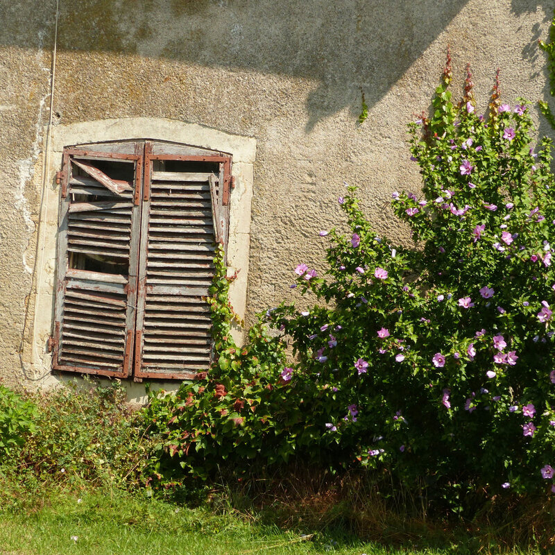 A PORTE FENETRE GRANDE GRILLES VASQUES FLEURS125