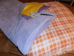coussin (1)