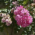 _DSC0192