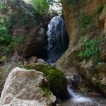 Meret au pays des merveilles P1200365