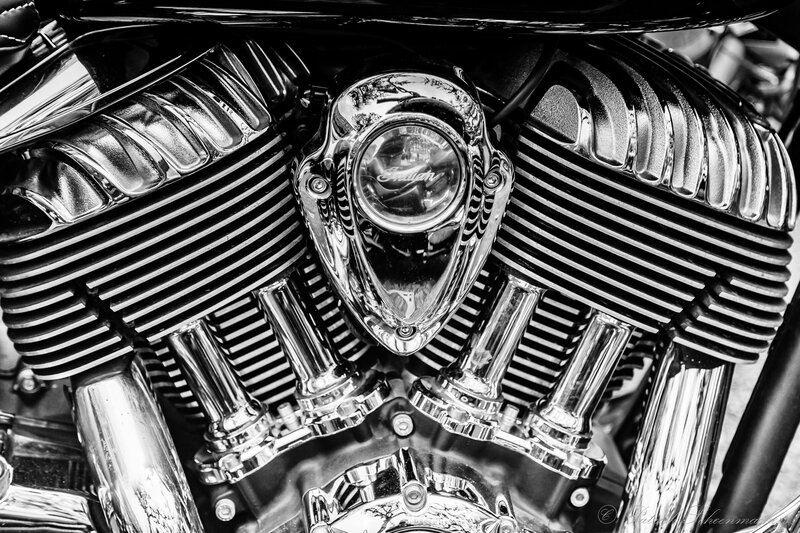 _MG_8894-Modifier