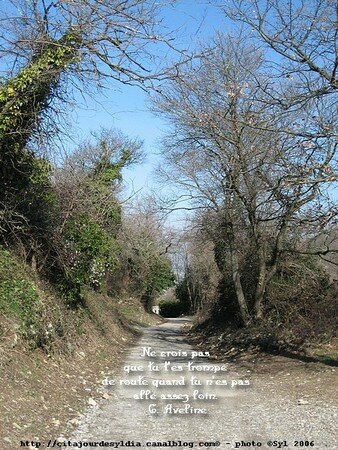 IMG2007_0794