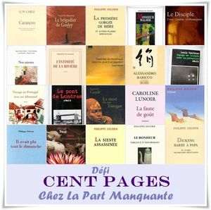 défi 100 pages