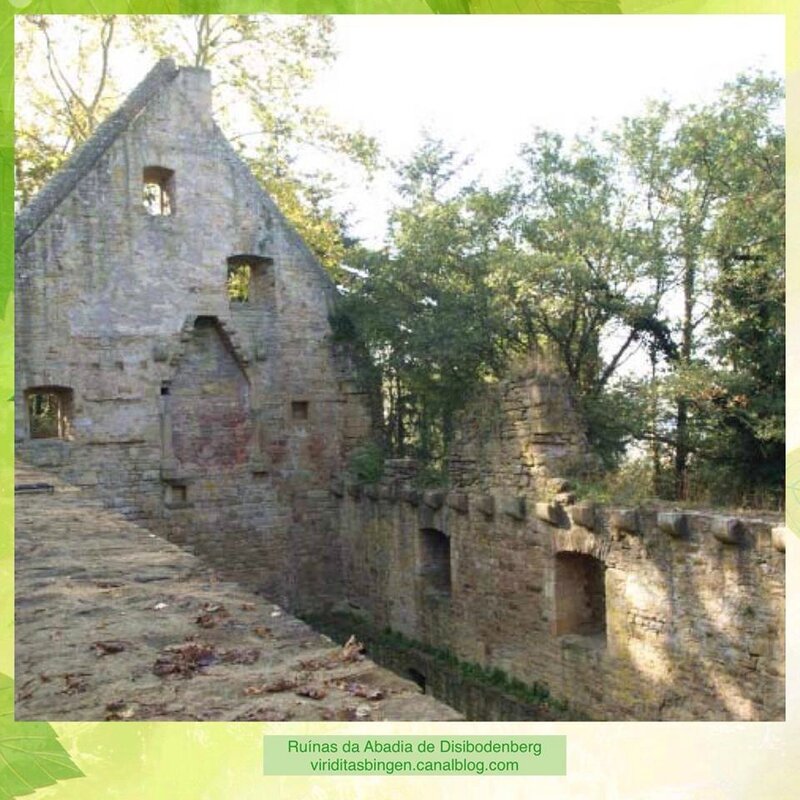 ruinas de Disibodenberg3