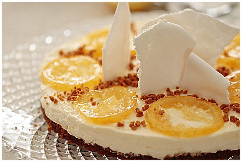 entremets-citron-speculoos-nicolepassions