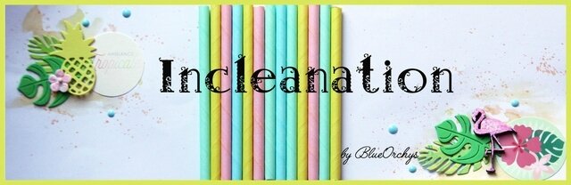 juille10-incleanation