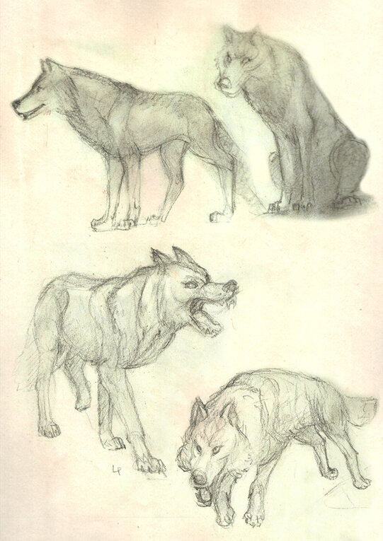 loups